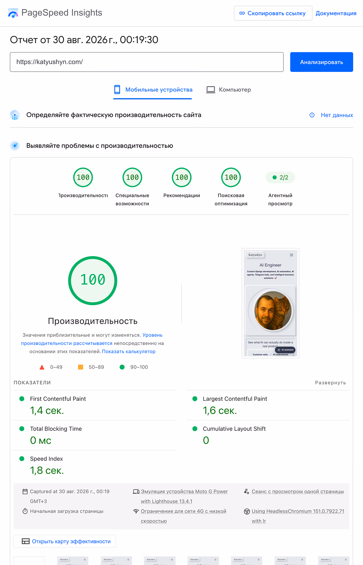 PageSpeed Insights - Katyushyn.com mobile performance